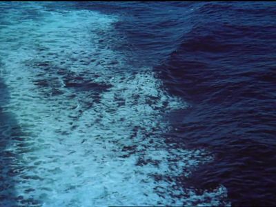The ocean's very
pretty, isn't it? - The Love Boat