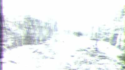 THE OKAPI, FEARED LOST IN 1959, - Strange Evidence
