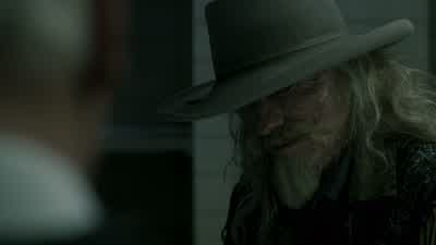The old coffin varnish. - Westworld