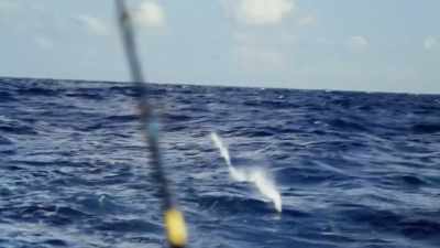  The old man
 always made it look
 easier than it is. - Deadliest Catch: Bloodline