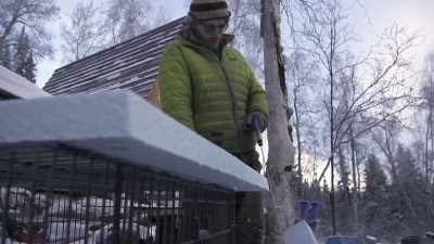 The one thing about Sipsey is
that he really doesn't like - Life Below Zero: Next Generation