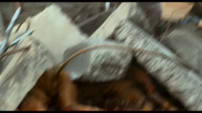 The only good Bug is a dead Bug - Starship Troopers