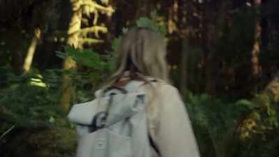 The only other possibility
is that there were
several things - Expedition Bigfoot