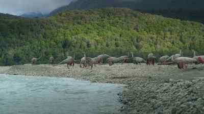 The only space left
is on the island's margin. - Prehistoric Planet