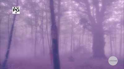 The only thing I'm afraid
of more than it working - The Watcher in the Woods