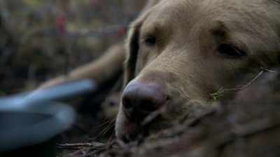 The only way is to
be self-reliant. - Life Below Zero: Next Generation