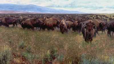 The only way
to describe their numbers was - The American Buffalo