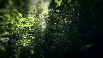 The only way
to leave Jonestown - Mother Undercover