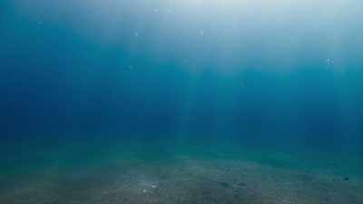 The open sand flats of Indonesia - The Secret Lives of Animals