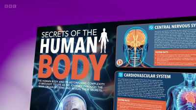 The Open University has produced
a free poster with interactive - The Human Body: Secrets of Your Life Revealed