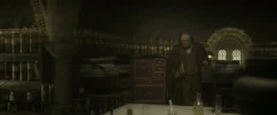 The other day I was in the library,in the Restricted Section... - Harry Potter and the Half Blood Prince