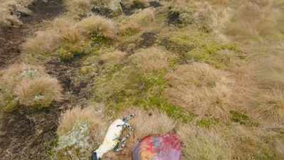 The pair of twin lambs
have perished, - Our Yorkshire Farm