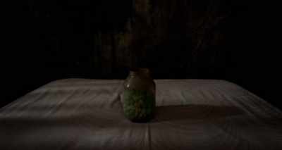 The parcel opened,
out it sprang, - Possum