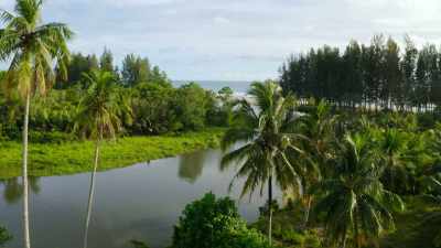 The park's rivers transport
its nutrient-rich soils - Our Great National Parks