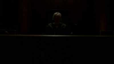 The participants are litigants with actual pet problems. - Gary Busey: Pet Judge
