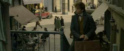 The path has been laid,
and he is following it. - Fantastic Beasts: The Crimes of Grindelwald