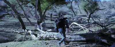 The Pentagon should be
able to provide enough ordnance - 4 Horsemen: Apocalypse
