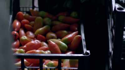 The people here
cook what they grow - Stanley Tucci: Searching for Italy