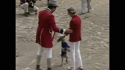 The people involved, - Bad Sport
