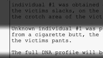 The phrase "Unknown
Individual Number 1" - Homicide Hunter: Never Give Up