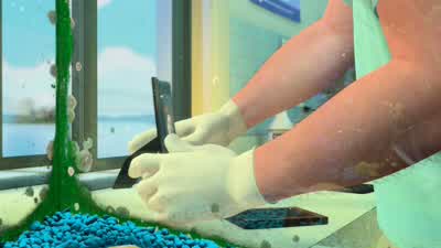 The picture broke. - Finding Nemo