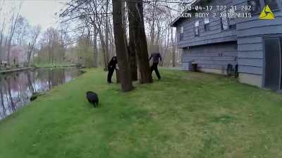 ‐The pig has been resisting
arrest for almost an hour. - Neighborhood Wars