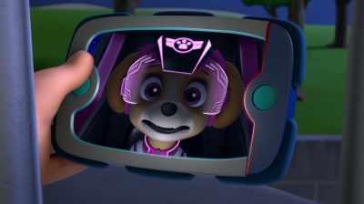 The pilot of the eagle jet is
also the thief! - PAW Patrol: Jet To The Rescue