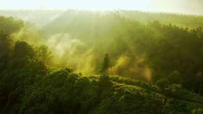 The place they chose
in Guyana, - Mother Undercover