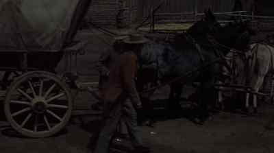 The place seems to be abandoned. - The Oregon Trail