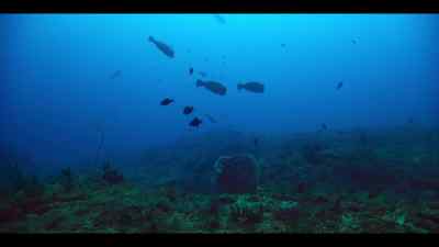 The place is the drop-off, - Our Oceans