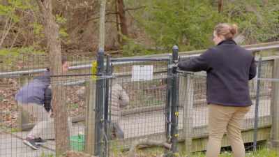 The plan was initially for
zucchini to go into her crate - Secrets of the Zoo