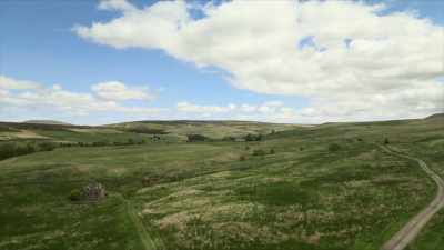 The plan is to create
a nature reserve - A Brief History of the Future