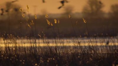 The Platte River, in Nebraska, North America. - Our Planet