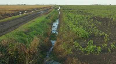 The PO Delta is an extraordinary
example of biodiversity. - World's Most Scenic River Journeys