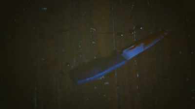 The police accepted the knife - The Disappearance of Maura Murray