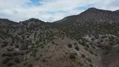 The police tipped us off - Horror in the High Desert 2: Minerva