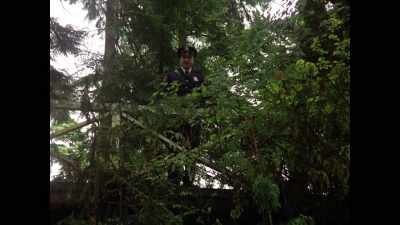 The policeman comes along
and says, - Pennywise: The Story of IT