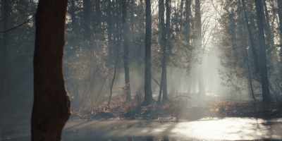 - The pond, it freezes over
in the winter, completely? - The Way Home