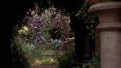 THE POND WAS ALL CLOGGED
WHEN WE FIRST CAME HERE. - The Secret Garden