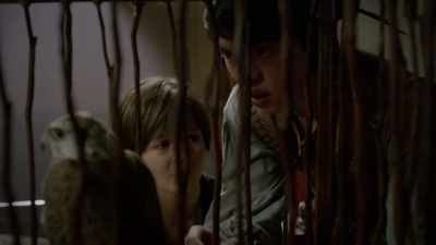 "The poor little boy
shut away by his uncle." - Leonardo