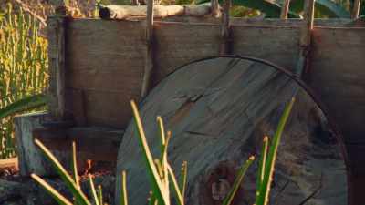 The poor old oxen, or whatever it is pulling the cart, - Ancient Engineering