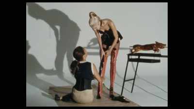 - The poor thing, - Helmut Newton: The Bad and the Beautiful
