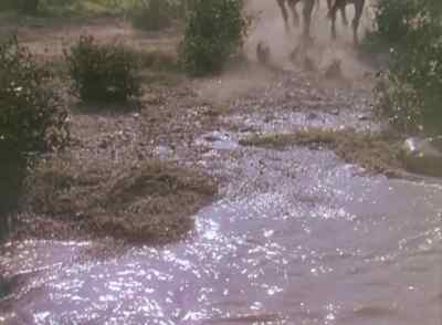 The posse lost them
in the chase. - The Duel at Silver Creek