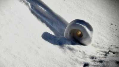 THE POSSIBILITY IS THAT
IT'S ACTUALLY SOME ANIMAL - Strange Evidence