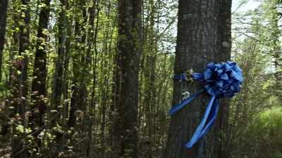 The possible connection reminds
me I've come too far to just - The Disappearance of Maura Murray
