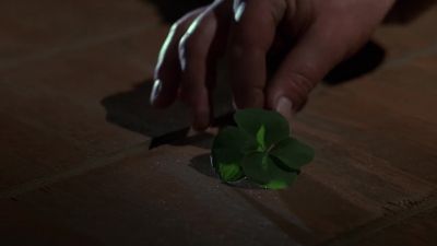 The power of this clover will keep you in there forever - Leprechaun