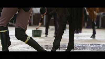 The prep
race at Newbury - Horsepower