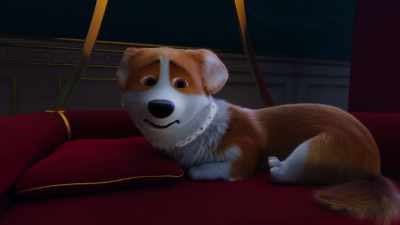 The president canceled his visit and returned to America. - The Queen's Corgi