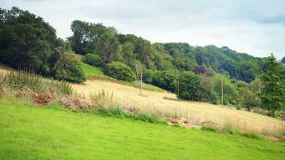 The problem we have is that
over there is our field, - James May and the Dull Men
