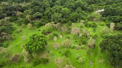 The problem is, they
are six miles inland - The Secret Lives of Animals